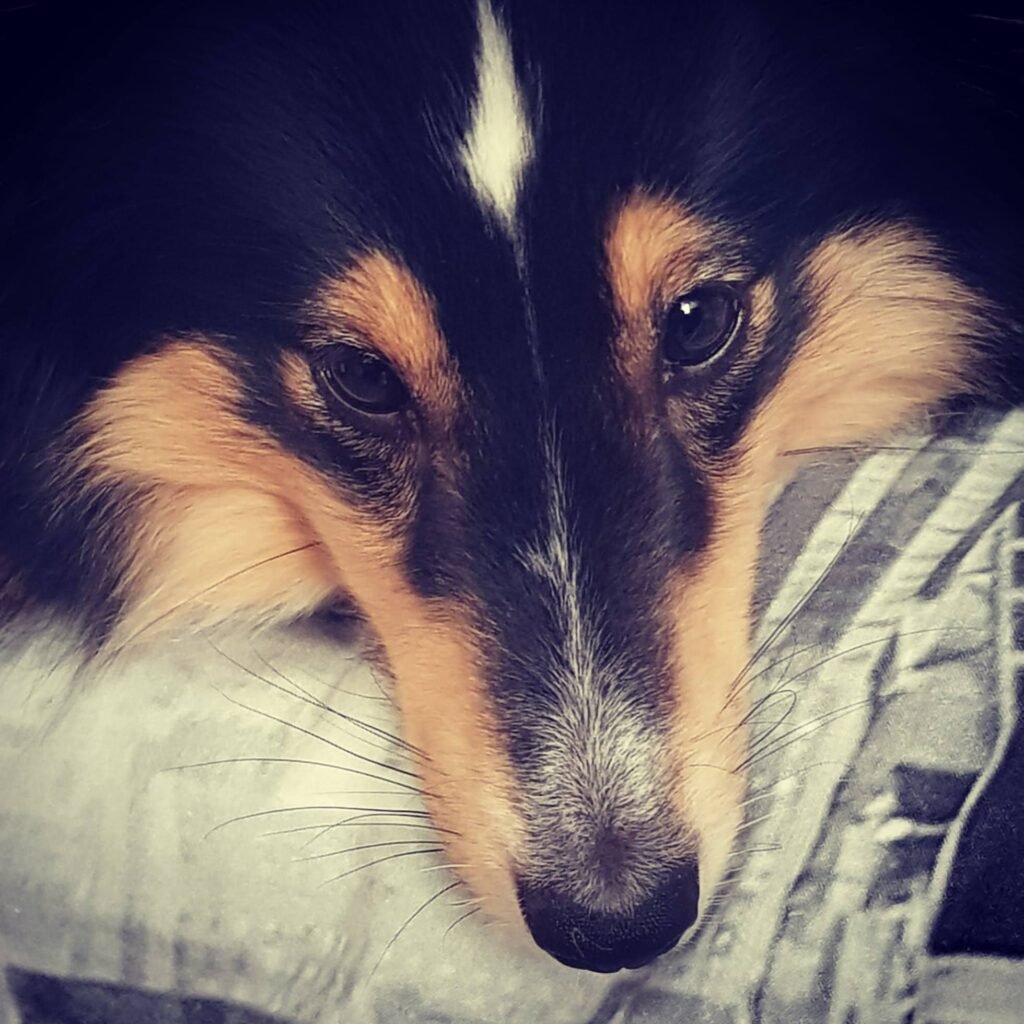 img 20200630 005822 904